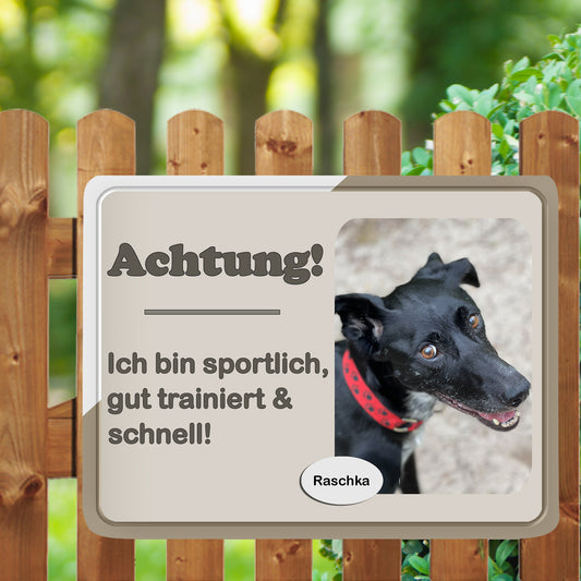 Individuelles Hundeschild mit eigenem Foto, Wunschname und wählbaren Sprüchen auf Aluminium-Verbundplatte, abgerundete Ecken.