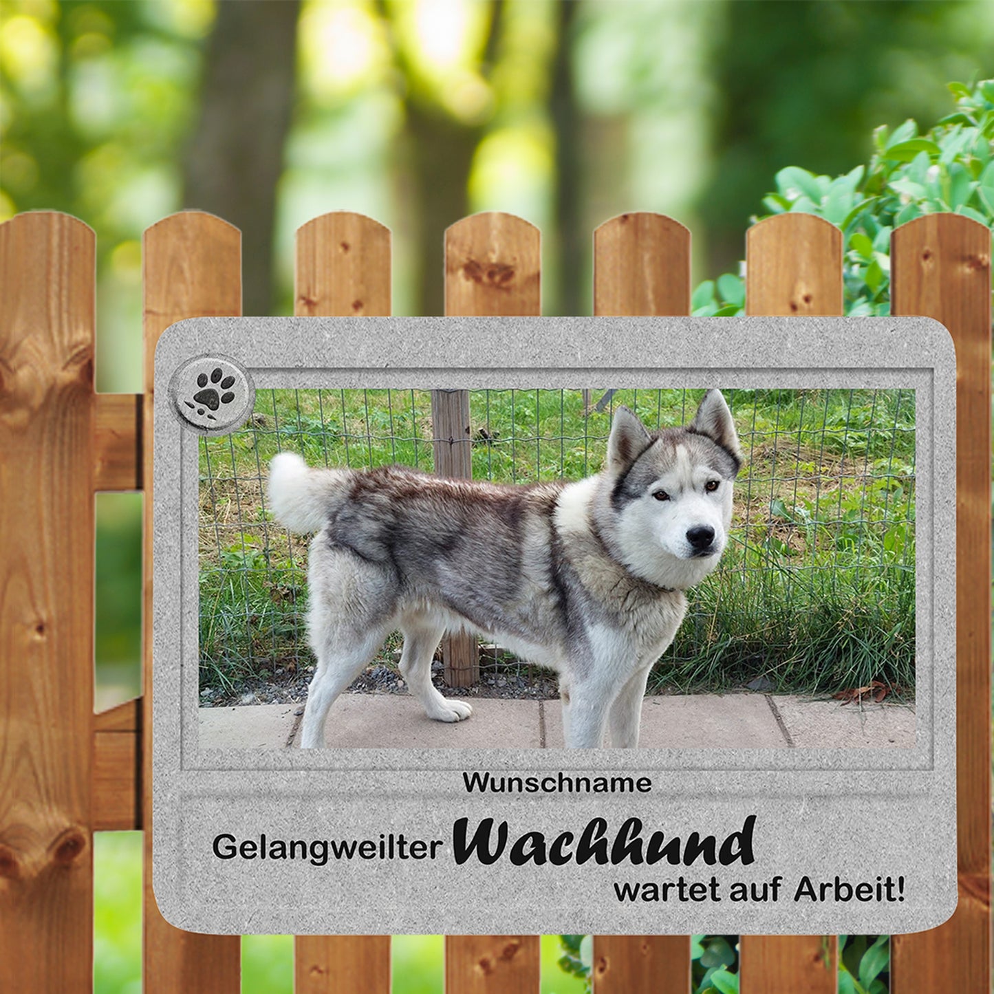 Individuelles Hundeschild mit Foto und Name auf Aluminium-Verbundplatte, abgerundete Ecken.